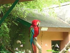 149 BIO PARC DE DOUE LA FONTAINE 4- 2016_000036